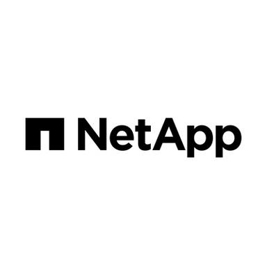 NetApp Internship Program logo